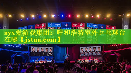 ayx爱游戏集团：呼和浩特室外乒乓球台在哪