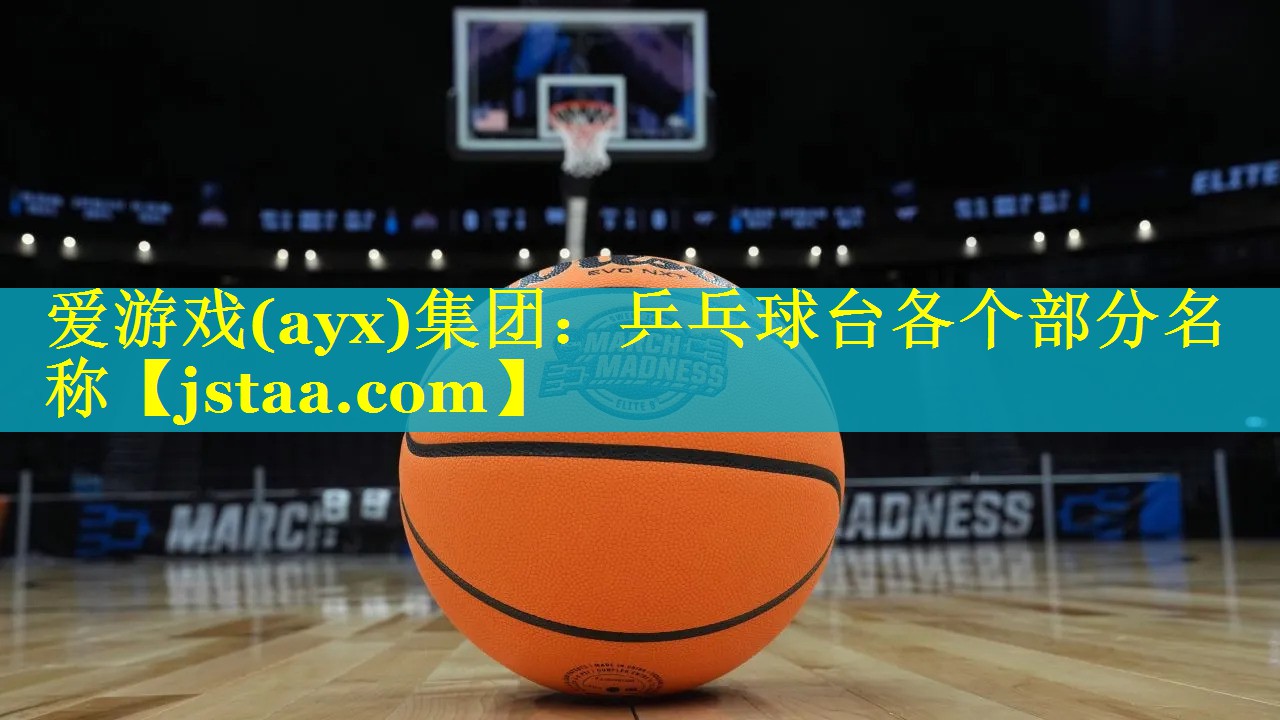乒乓球台各个部分名称 乒乓球台各个部分名称