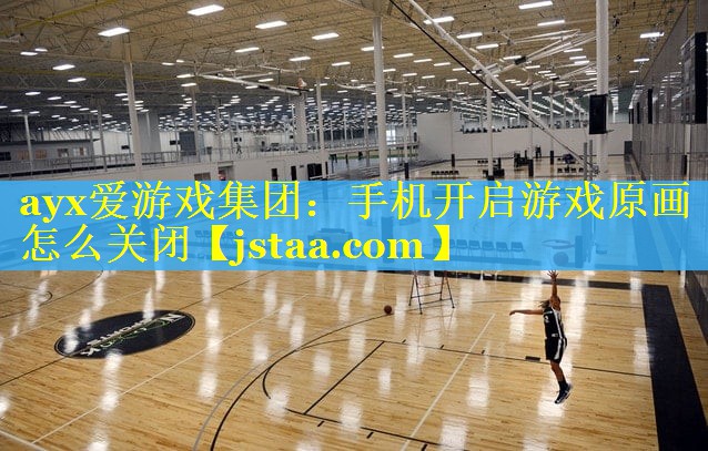 手机开启游戏原画怎么关闭 手机开启游戏原画怎么关闭