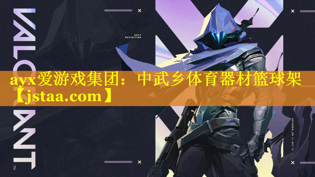 中武乡体育器材篮球架 中武乡体育器材篮球架