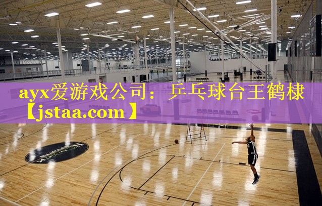 乒乓球台王鹤棣 乒乓球台王鹤棣