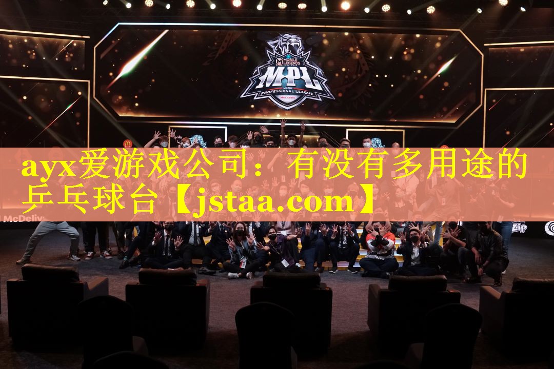 有没有多用途的乒乓球台 有没有多用途的乒乓球台