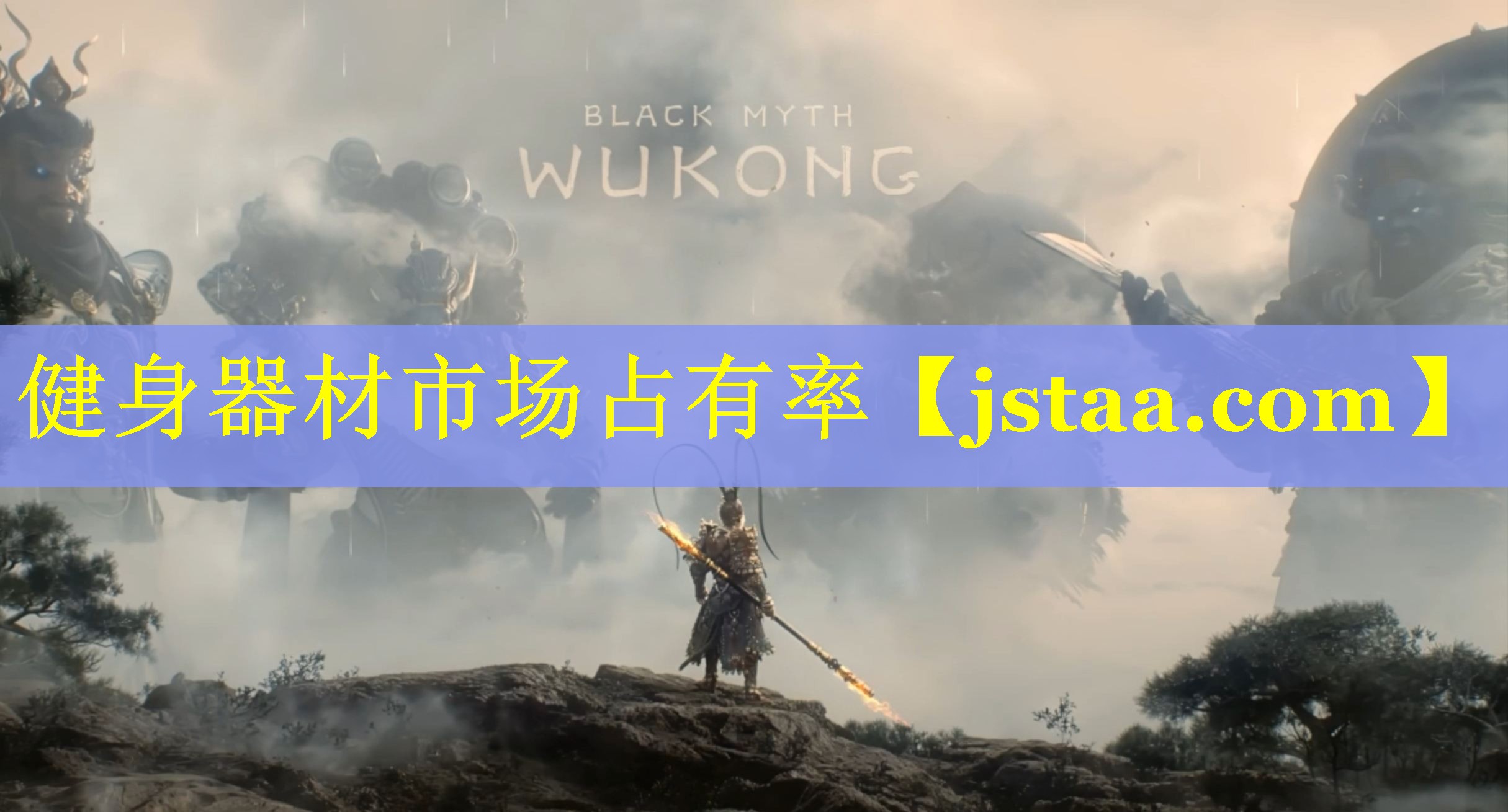 健身器材市场占有率 健身器材市场占有率