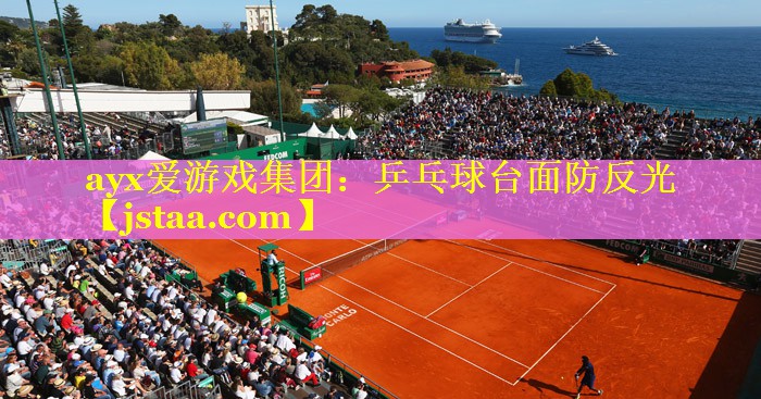 乒乓球台面防反光