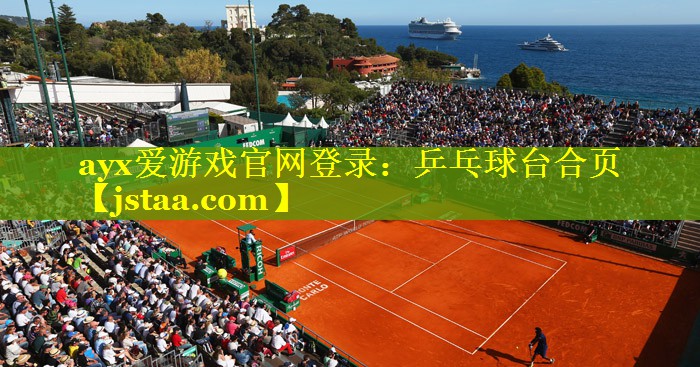 乒乓球台合页 乒乓球台合页