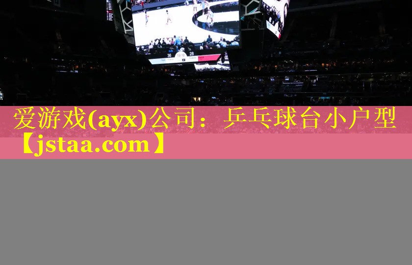 乒乓球台小户型 乒乓球台小户型