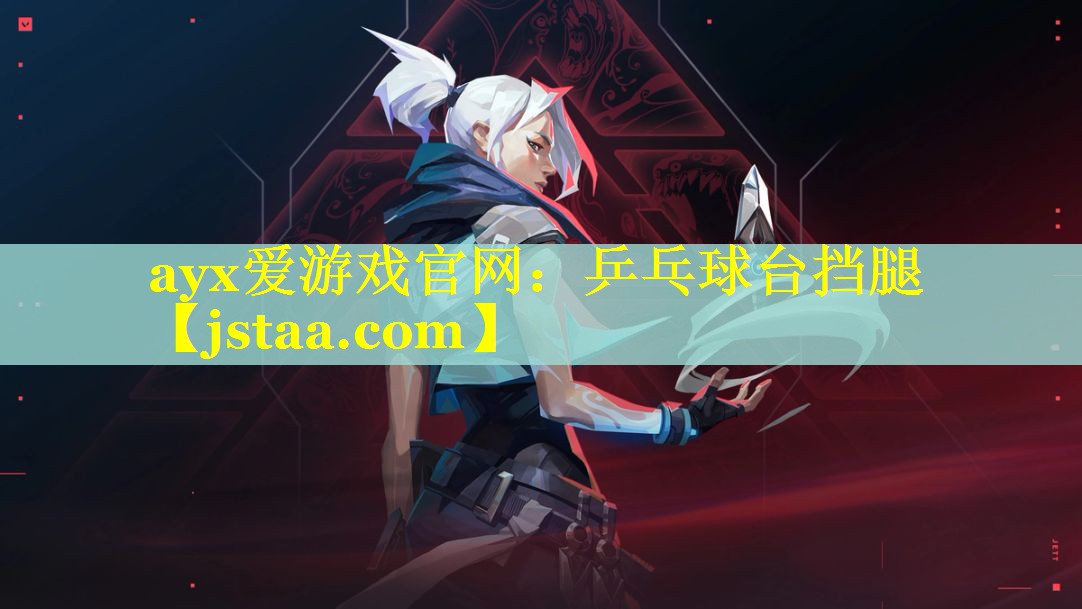 乒乓球台挡腿 乒乓球台挡腿