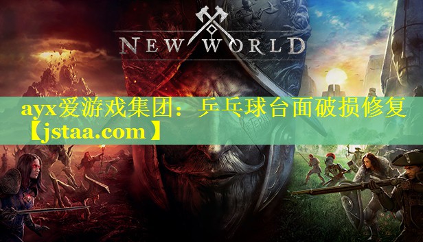 乒乓球台面破损修复 乒乓球台面破损修复