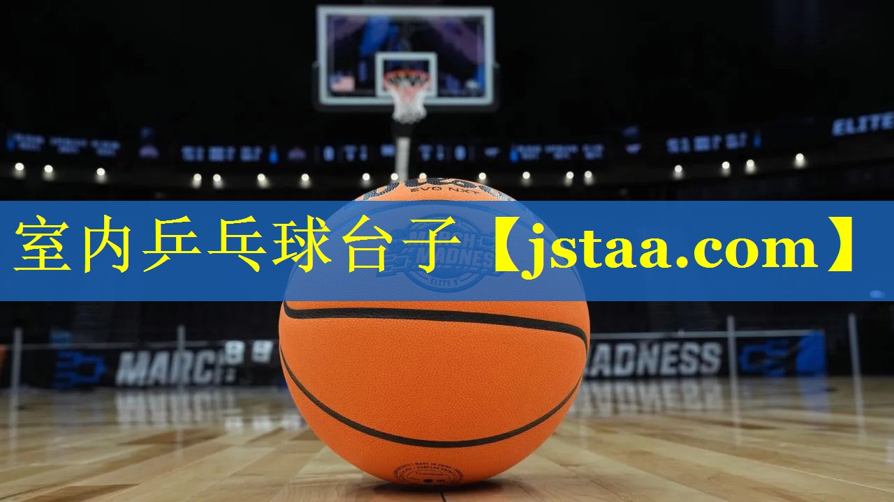 室内乒乓球台子 室内乒乓球台子